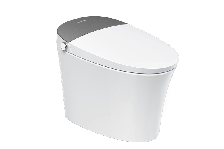 联塑智能坐便器